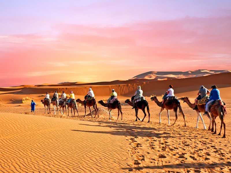 Camel caravan crossing golden sand dunes during a luxury Marrakech desert tour at sunset